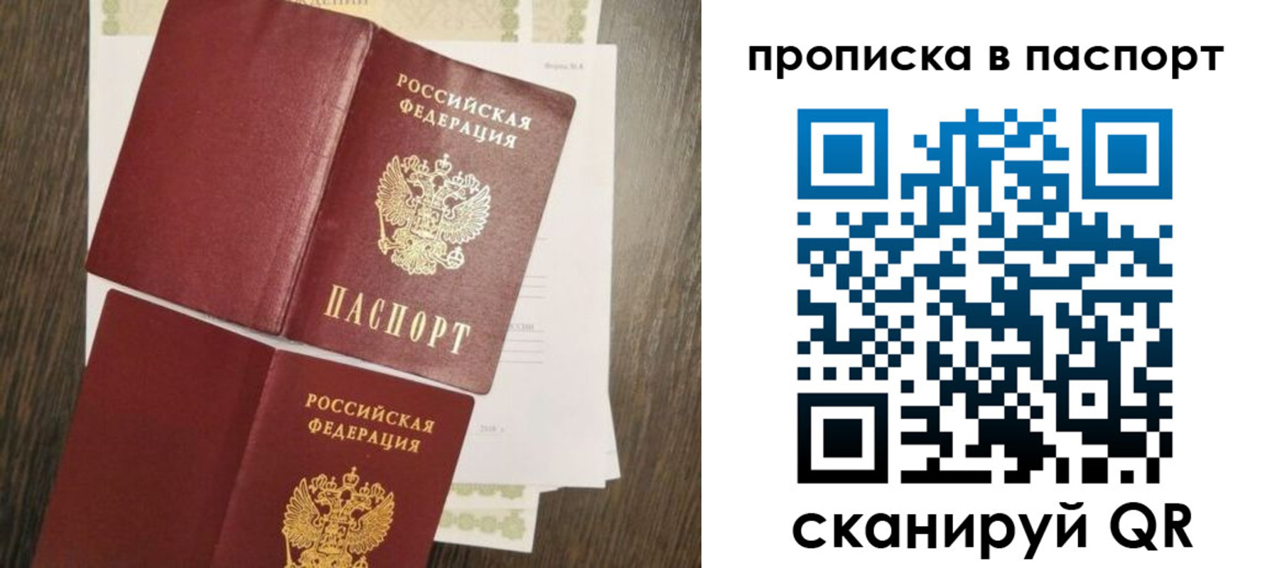 прописка гарантия в Сольцах
