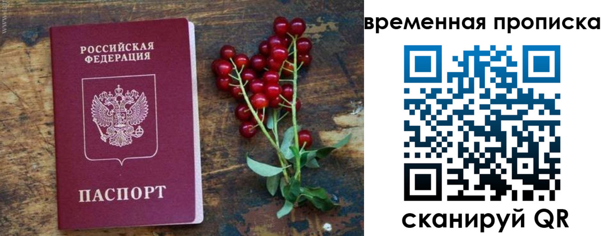 временная регистрация гарантия в Сольцах